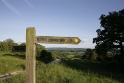 Sign to the Downs Wallpaper