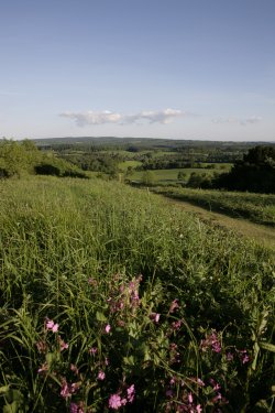 North Downs Way