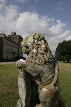 The Lion