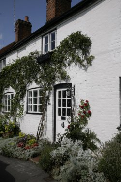 Cottage in village