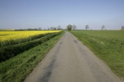 Long straight road.. Wallpaper