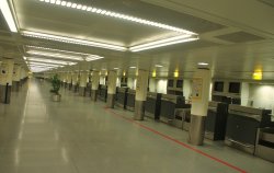 Terminal 2 - There was life