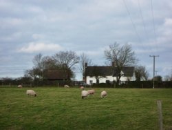 Meadow next to the Church Wallpaper