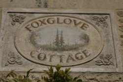 Foxglove cottage. Wallpaper