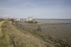 On the River bank Wallpaper