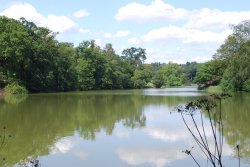 The lake at Dudmaston