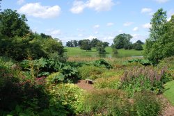Dudmaston gardens