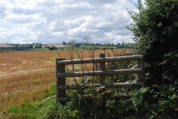 Field view