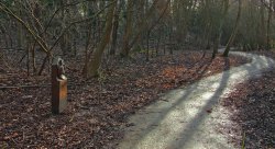 Little Switzerland 010 Wallpaper