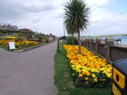 Garden in Weymouth, Dorset