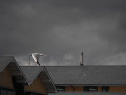 Threatening sky over Bettystown
