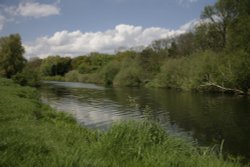River Nene walk Wallpaper
