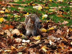 Can you see me? Wallpaper