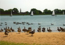 Hickling Broad Wallpaper