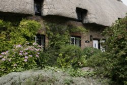 Cottage in village with flowers Wallpaper