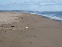 St Andrews Wallpaper