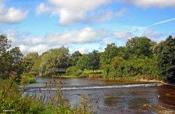 Pamphill in Dorset Wallpaper