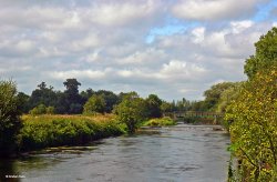 Pamphill in Dorset Wallpaper