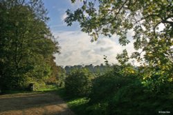 Pamphill in Dorset Wallpaper