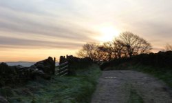 Dilworth Brows Wallpaper