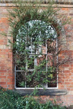 Derelict building by the River Trent