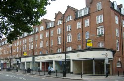 Star Furnishing Wallpaper