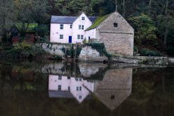 Reflections Wallpaper