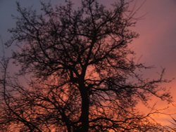 Liverpool sunset from my garden Wallpaper