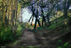 Moreton in Dorset Wallpaper