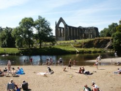 Trout river Wallpaper