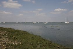 View of Estuary Wallpaper