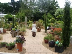 RHS Garden