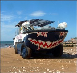 The Washmonster Wallpaper