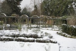 The Rye garden whilst snowing Wallpaper
