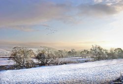 Stour Valley Winter, Shillingstone. Wallpaper
