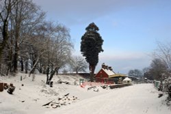 Stour Valley Winter, Shillingstone. Wallpaper