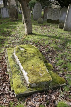 Churchyard