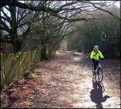 Biker in Wanstead Park Wallpaper