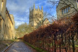 Merton Chapel Wallpaper