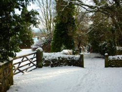 Snow Longridge Wallpaper