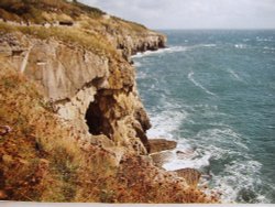 Near Durdle door