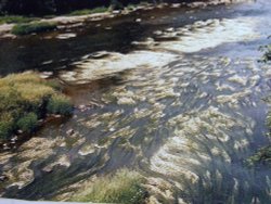 Hairy river Wallpaper