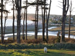 View of the Otter Estuary