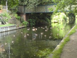 Chesterfield Canal Wallpaper