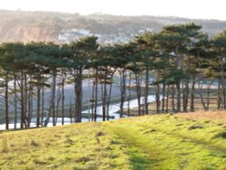 View of the Otter Estuary from the cliff tops Wallpaper