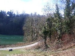 Beautiful Swanbourne Lake Wallpaper