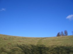 Blue Sky at Swanbourne Lake, Arundel Wallpaper