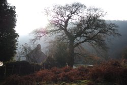 Cottage in winter at Castlemorton Common Wallpaper