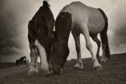 Shires in the storm Wallpaper