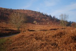 Castlemorton Common Wallpaper